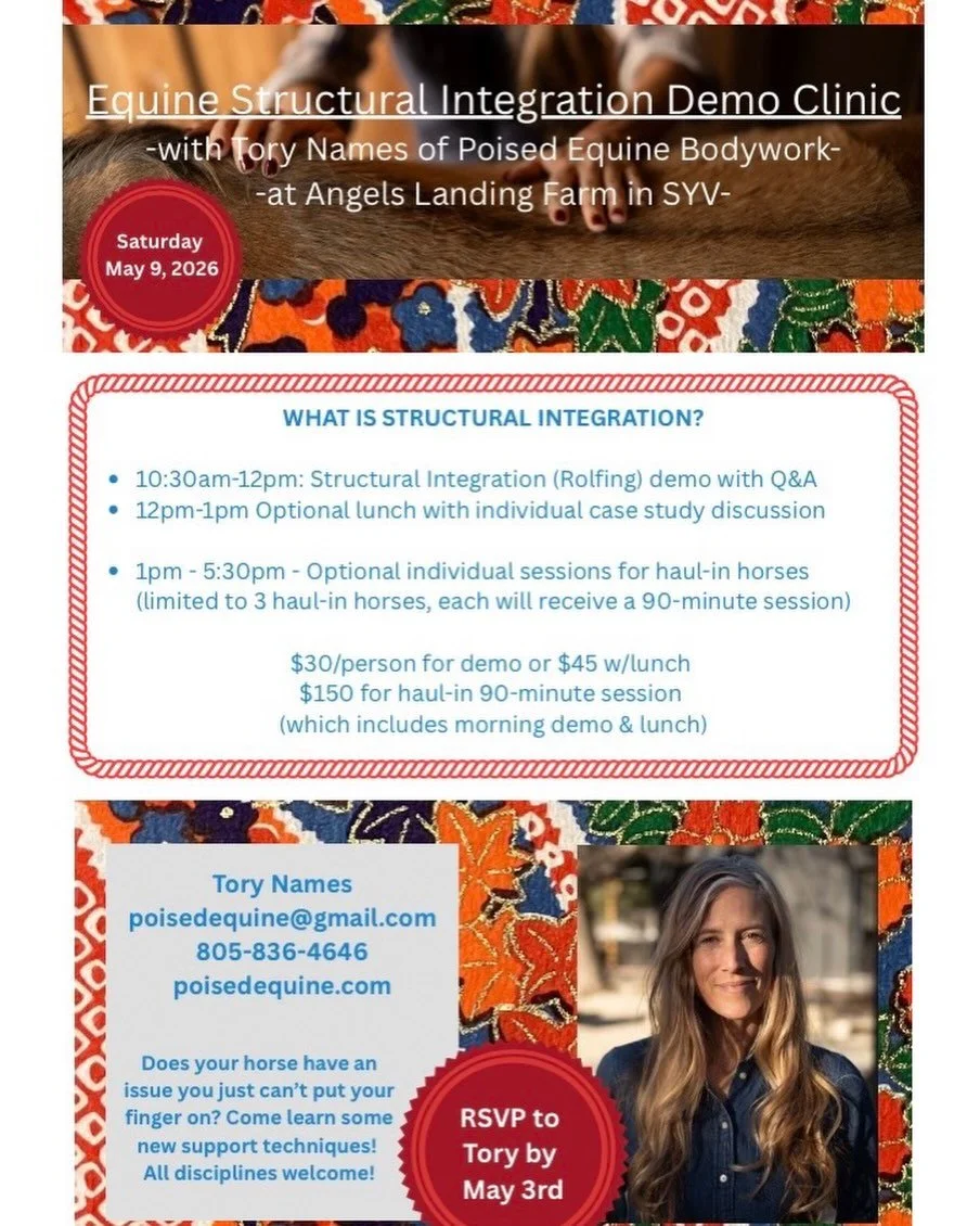 Want to learn about a different bodywork modality that can access deeper issues? Join us on May 9th at Angels Landing Farm in Los Olivos to learn about Equine Structural Integration! angelslandingfarm.com #equinestructuralintegration
