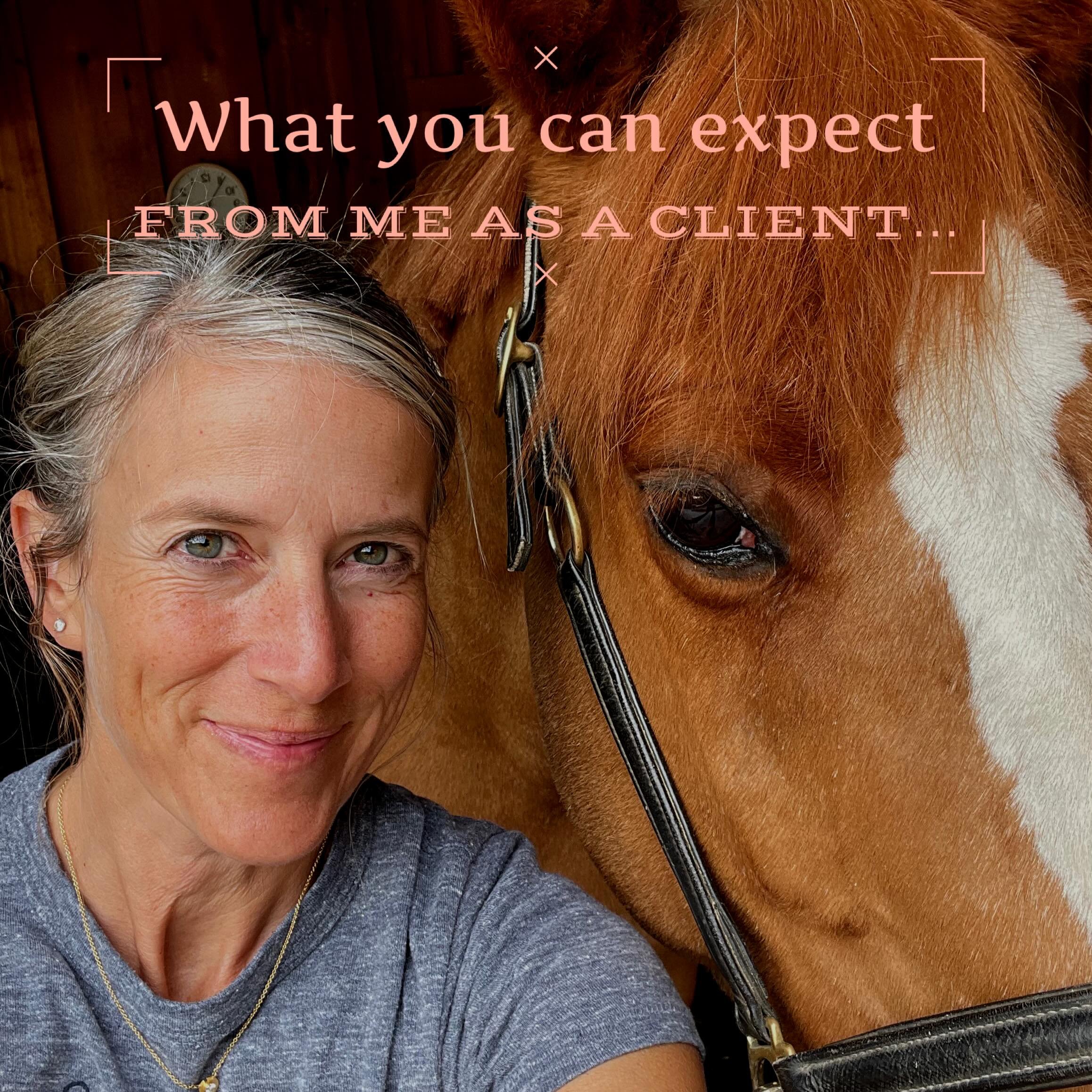 &bull;Detailed post-session report 
&bull;Collaboration with you, trainer, vet, other therapists
&bull;Excellent communication
&bull;Problem solving and persistence
&bull;Optimism&hellip; most issues can be improved upon
#equinebodywork #equinestruct