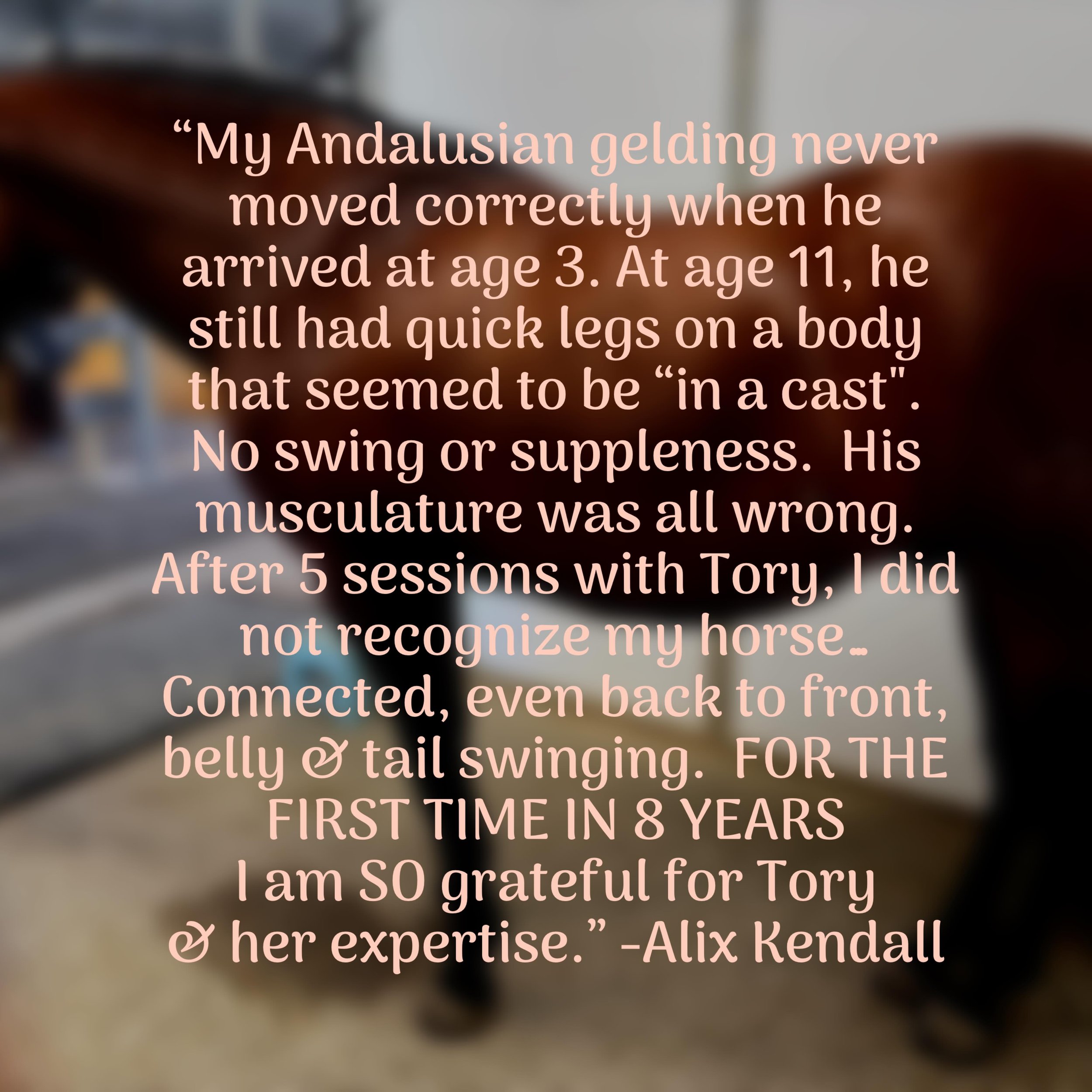I just love it when owners and trainers SEE the VALUE of this work 💗 it&rsquo;s almost as great as when the horses FEEL it ✨#structuralintegration #equinebodywork @angelscamp1