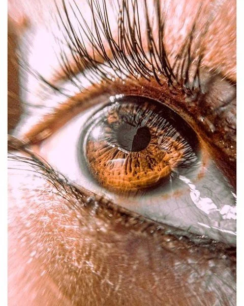 👀 Did you know this fun eye fact?? 👀

Your eyes are constantly moving, even when you think you're staring at one thing. Tiny shifts keep your vision from going completely blank.

So yes&hellip; your eyes literally refuse to sit still!! 🤯

We are h