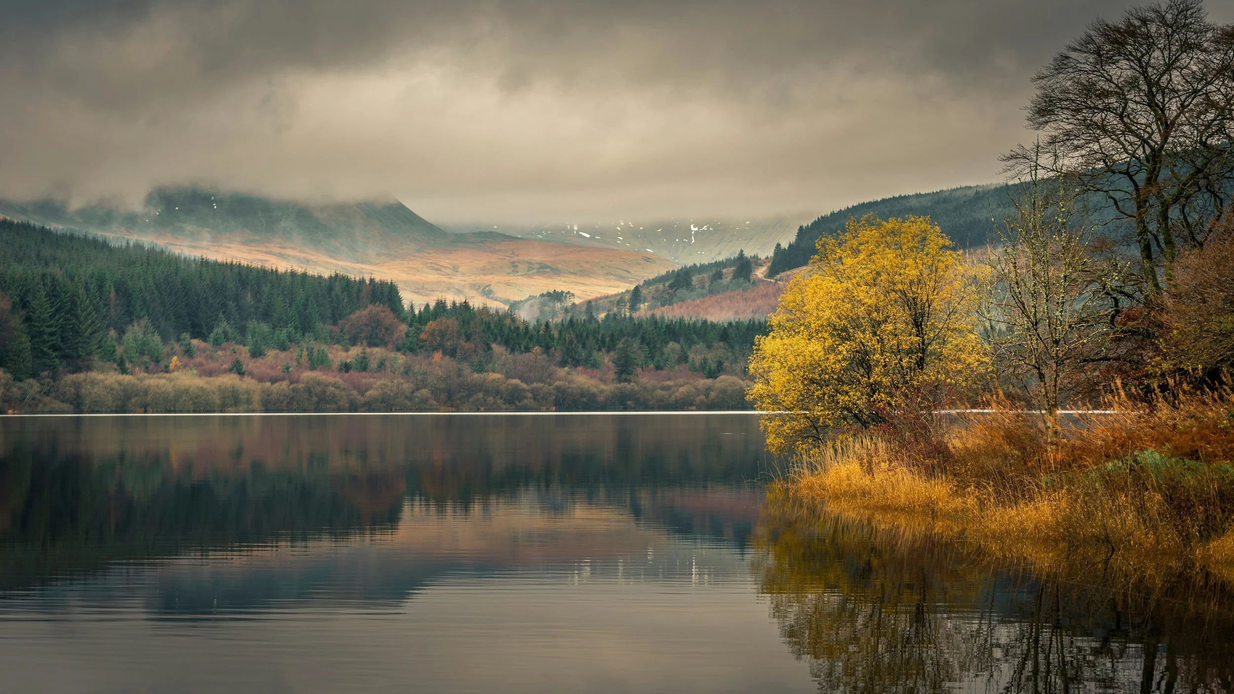 Finding Mental Health Support in Powys – From a Local Therapist Who Understands