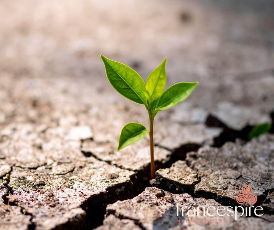 Building Resilience: How Small Changes Create Big Shifts