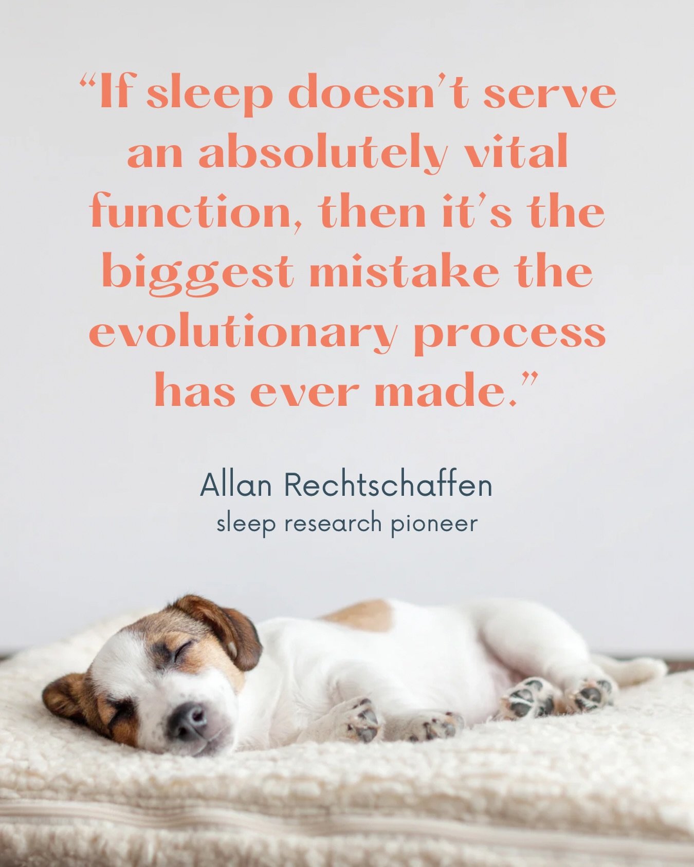 Today is World Sleep Day 🌙

This quote has lived in my head since the first time I read it.

Because when you actually think about it, sleep is a terrible idea.

You&rsquo;re out cold. Completely defenceless. For 8 hours. Every night.

And yet witho