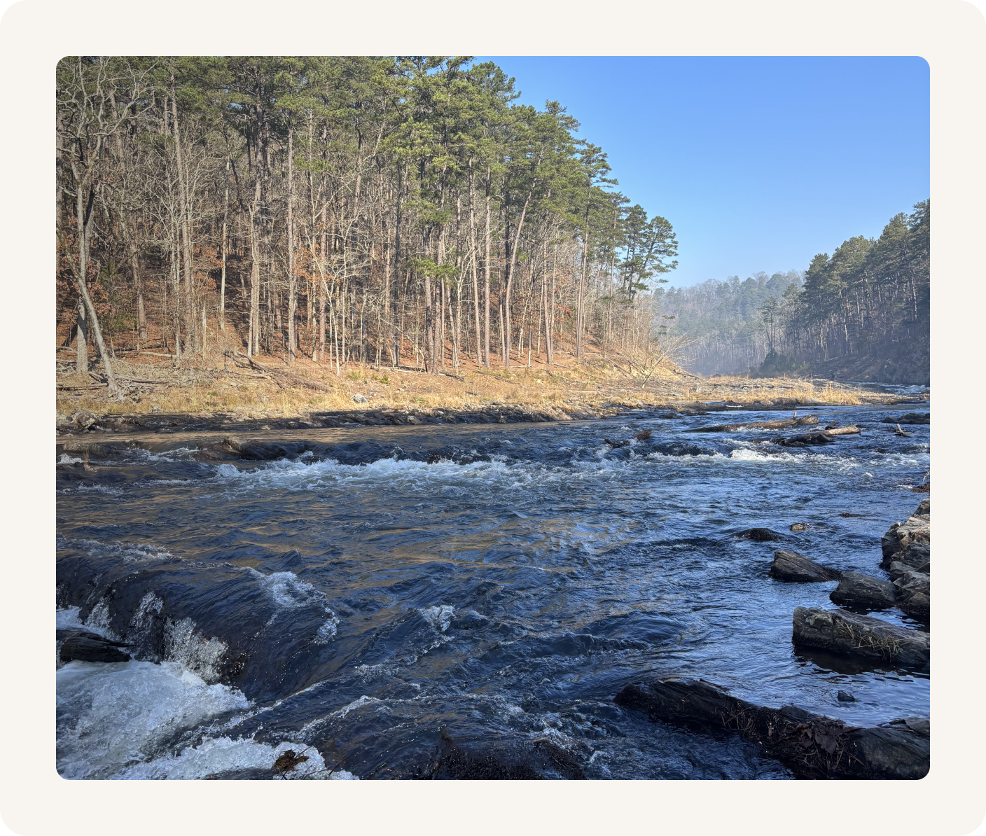 A flowing river with dark water and small waves, bordered by rocks, with a forest of mostly leafless trees on the shore and a clear blue sky overhead.