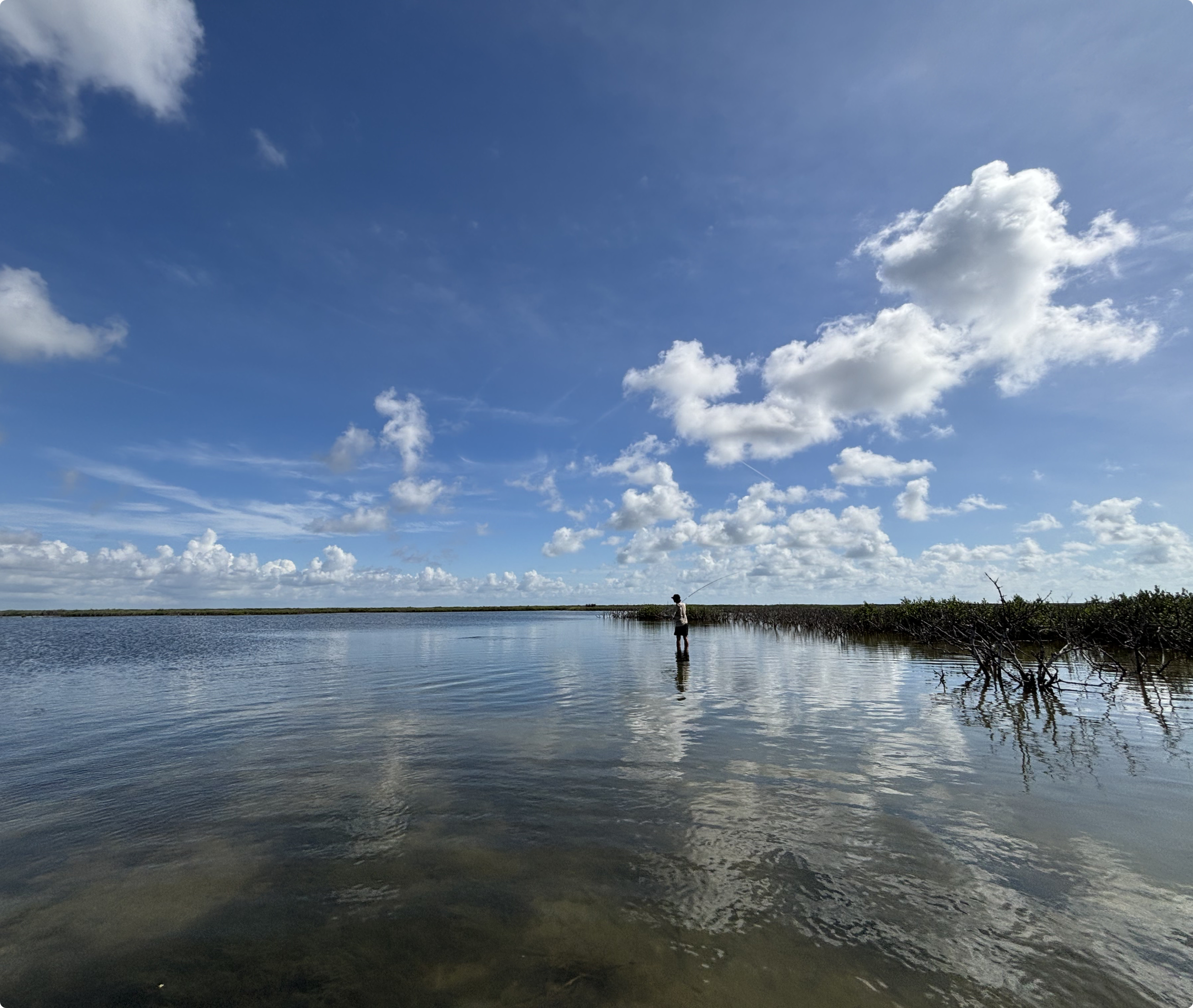 A man fly fishing in a calm body of water, a coastal flat, under a partly cloudy blue sky.