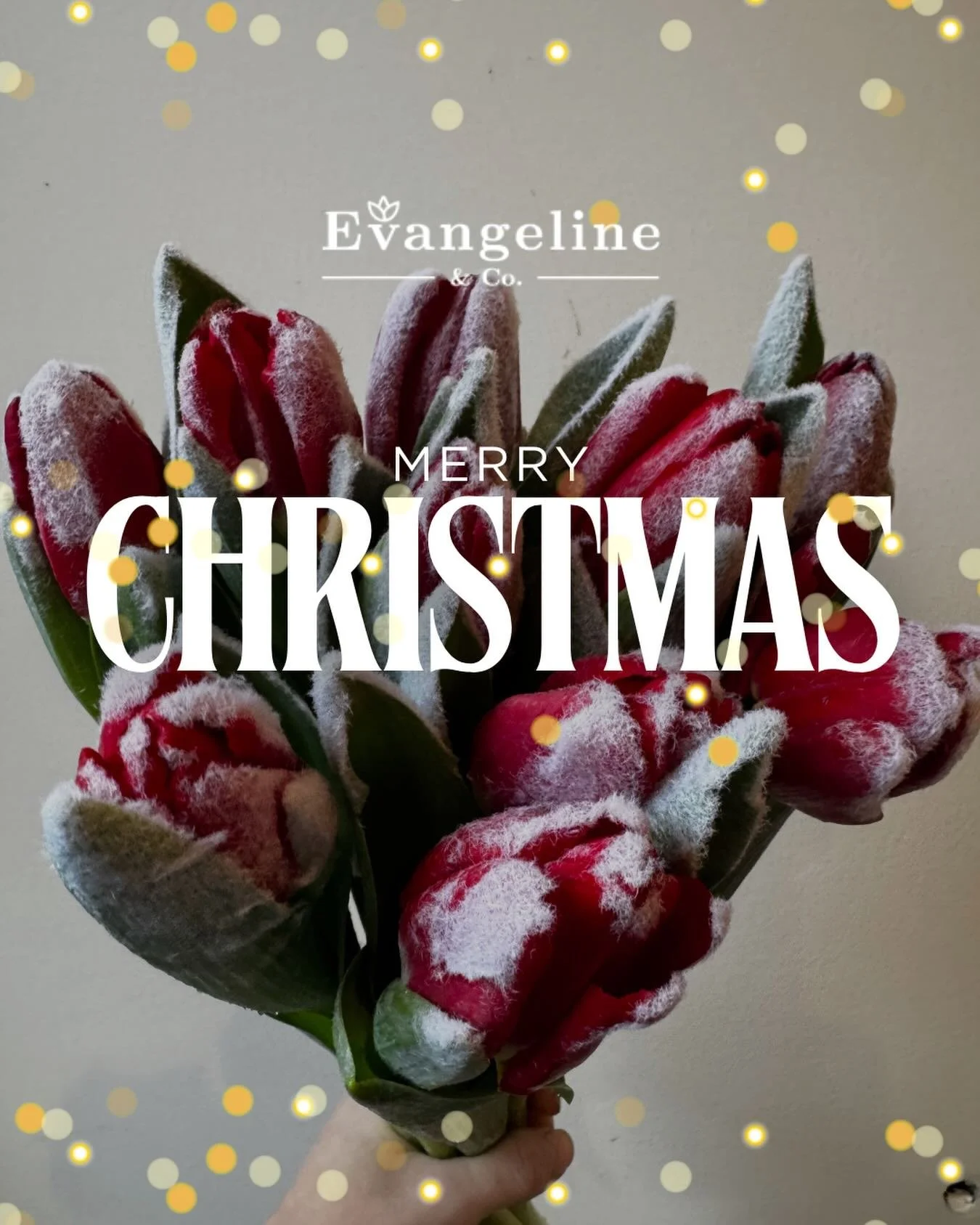 Merry Christmas from our family to yours 🎄 Thank you for supporting our small business and helping make this season so special for us.

#evangelineandco #merrychristmas #happyholidays #thabkyou #shopsmall