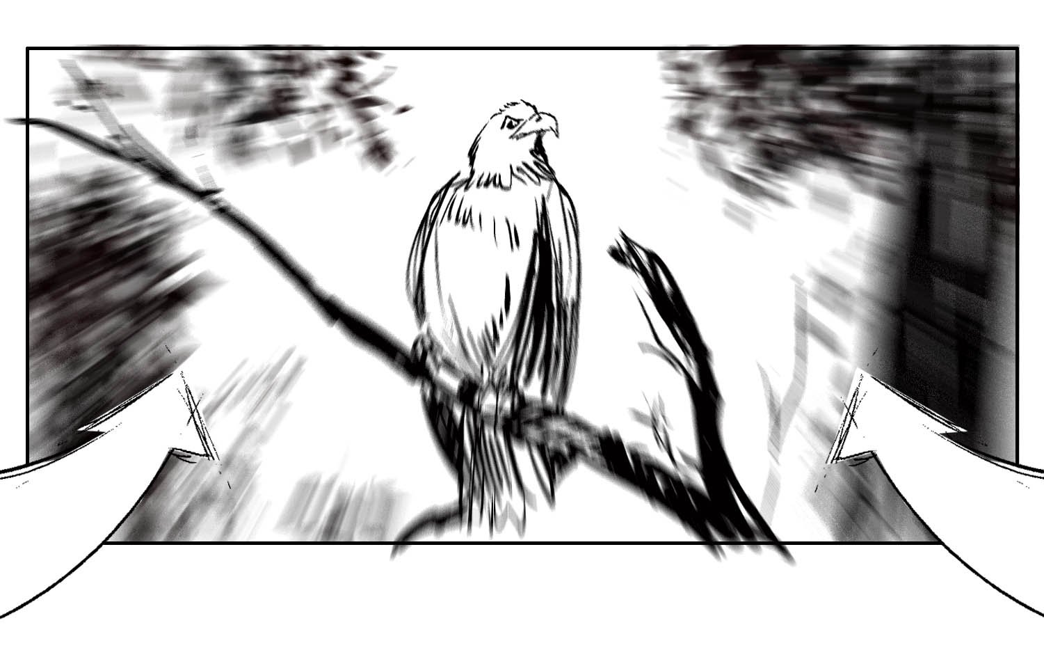 Kawasaki _V1_0025c.jpg