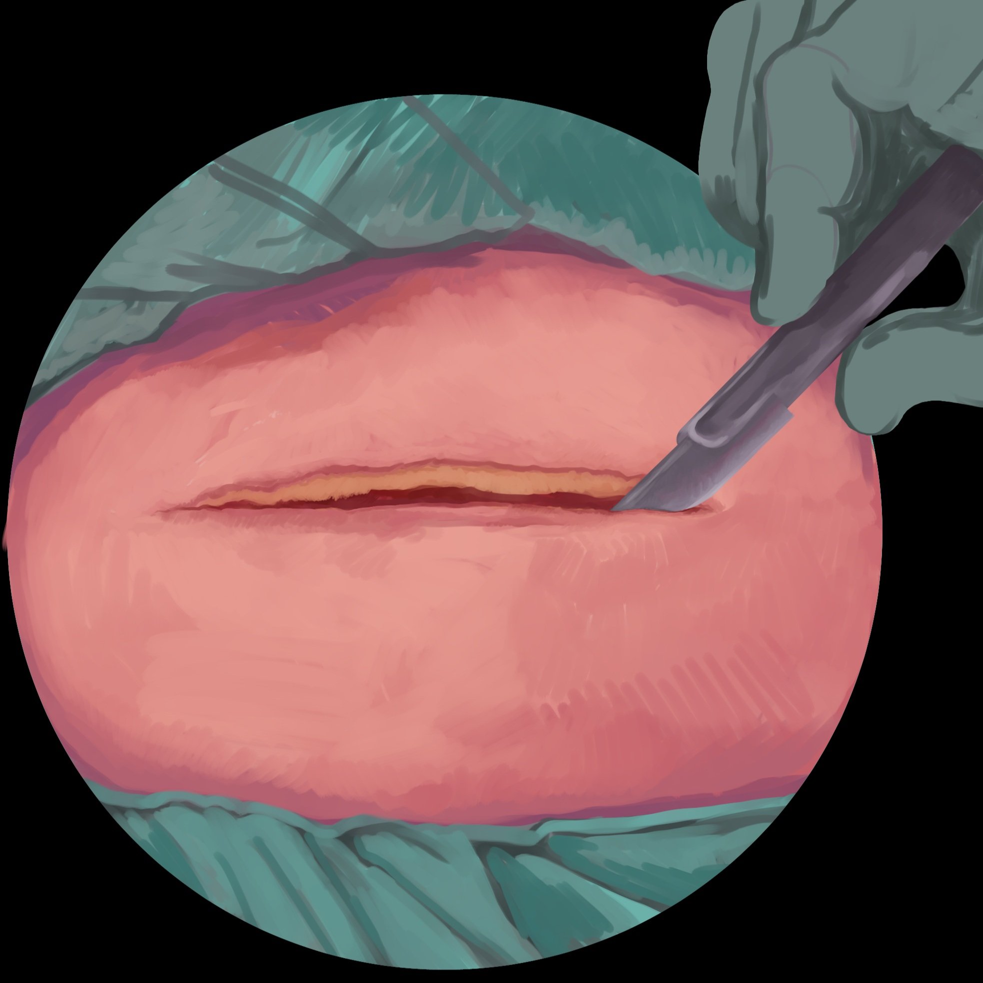 Illustration5.jpg