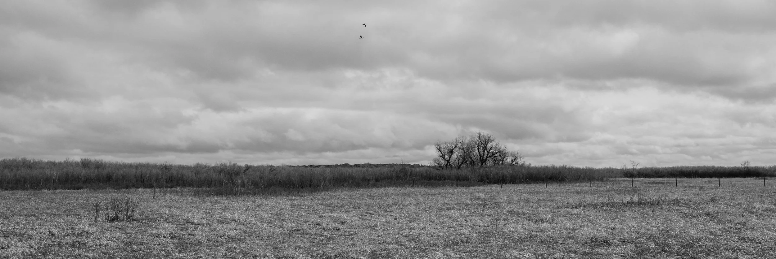 WATERCOLOR + PHOTO // LANDSCAPE