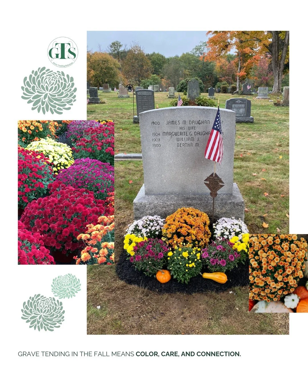 From sunny yellow to deep burgundy, mums are the vibrant flower of fall. We plant them at gravesites this time of year because they thrive in cooler weather, add lasting color through the season, and symbolize remembrance and resilience. 🌼🍂

Placin