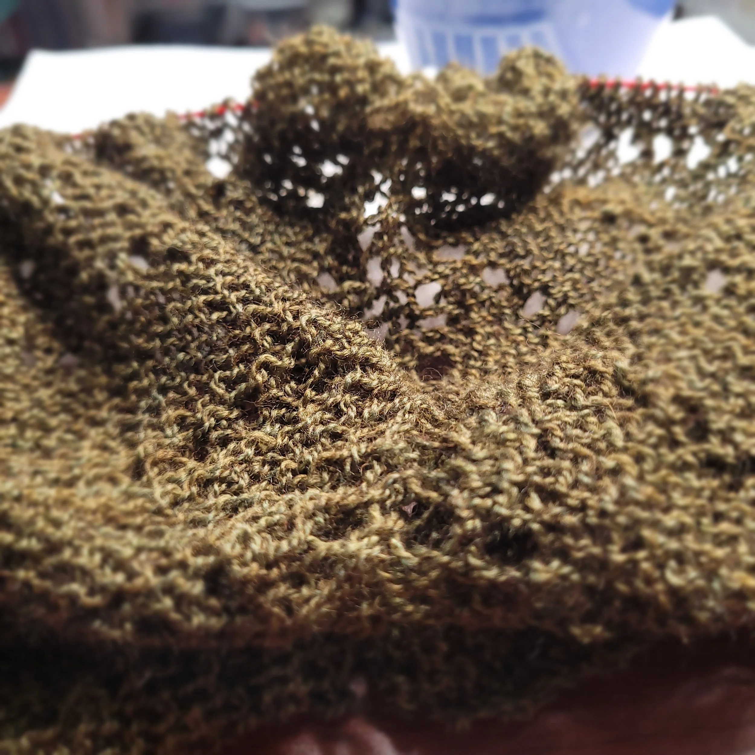 Livestream Notes Dec 26 2025