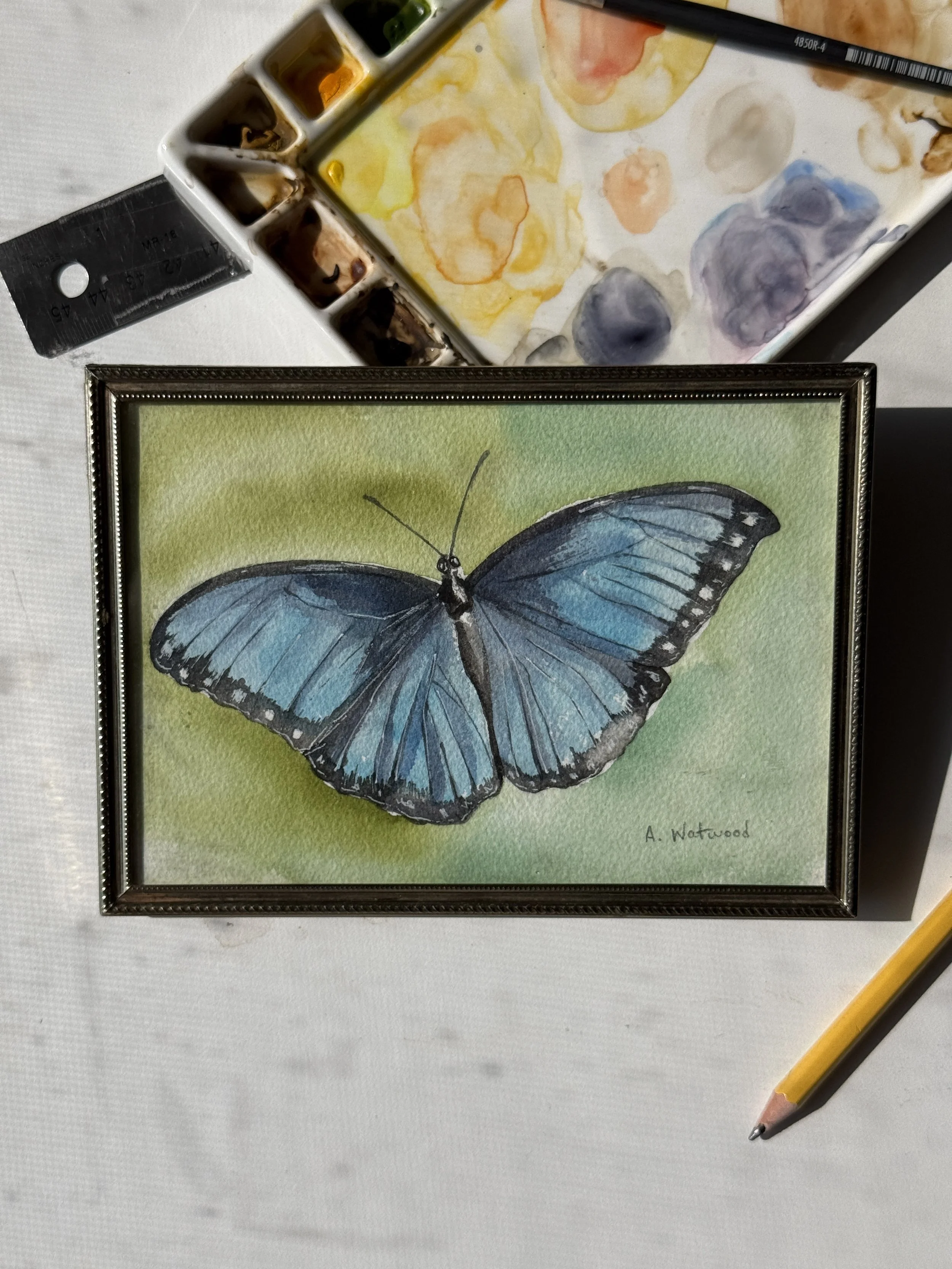 Mini Original Watercolor | Blue Butterfly | 5x7 | Vintage Gold Frame