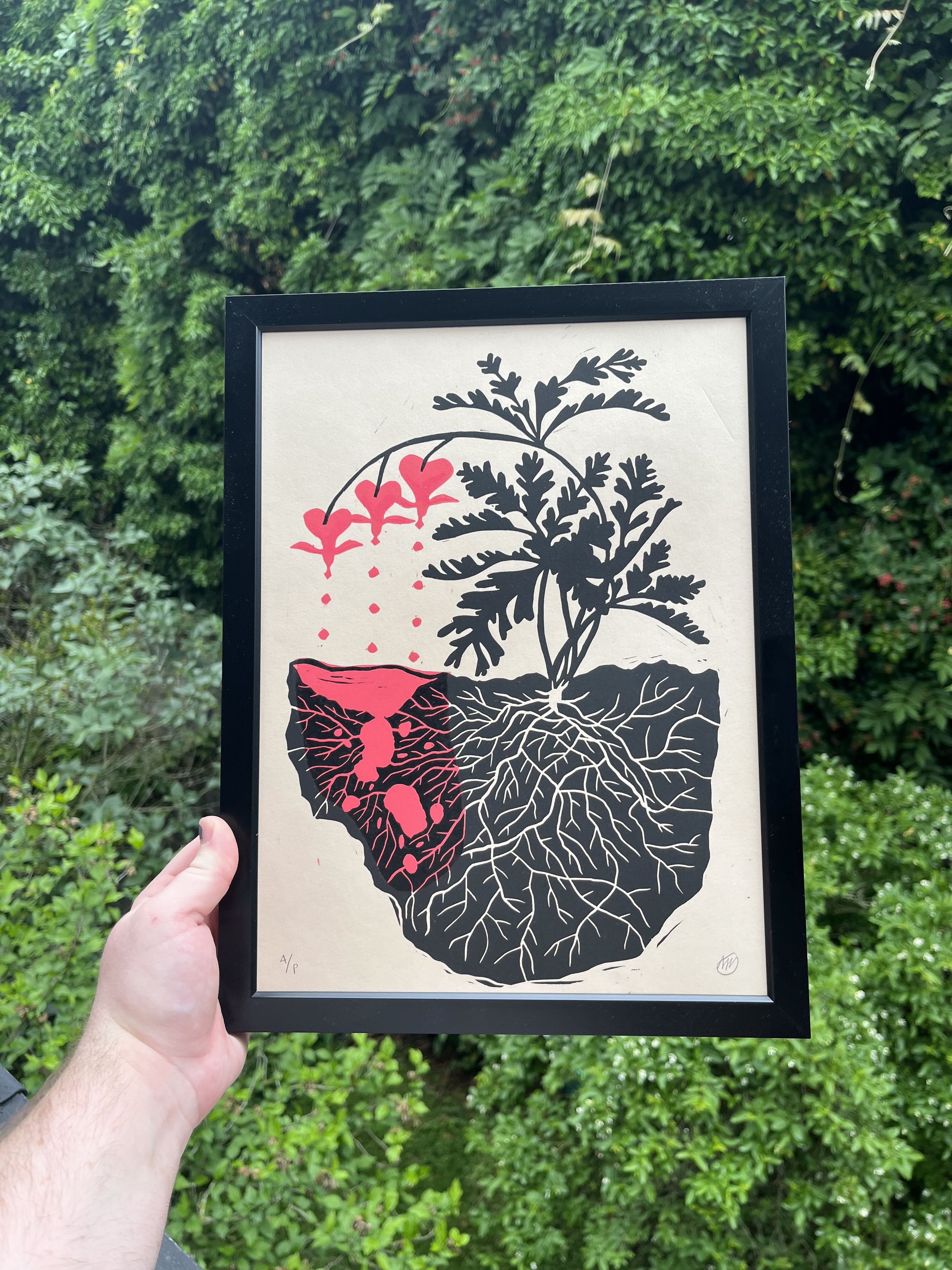 bleeding hearts 3.jpg