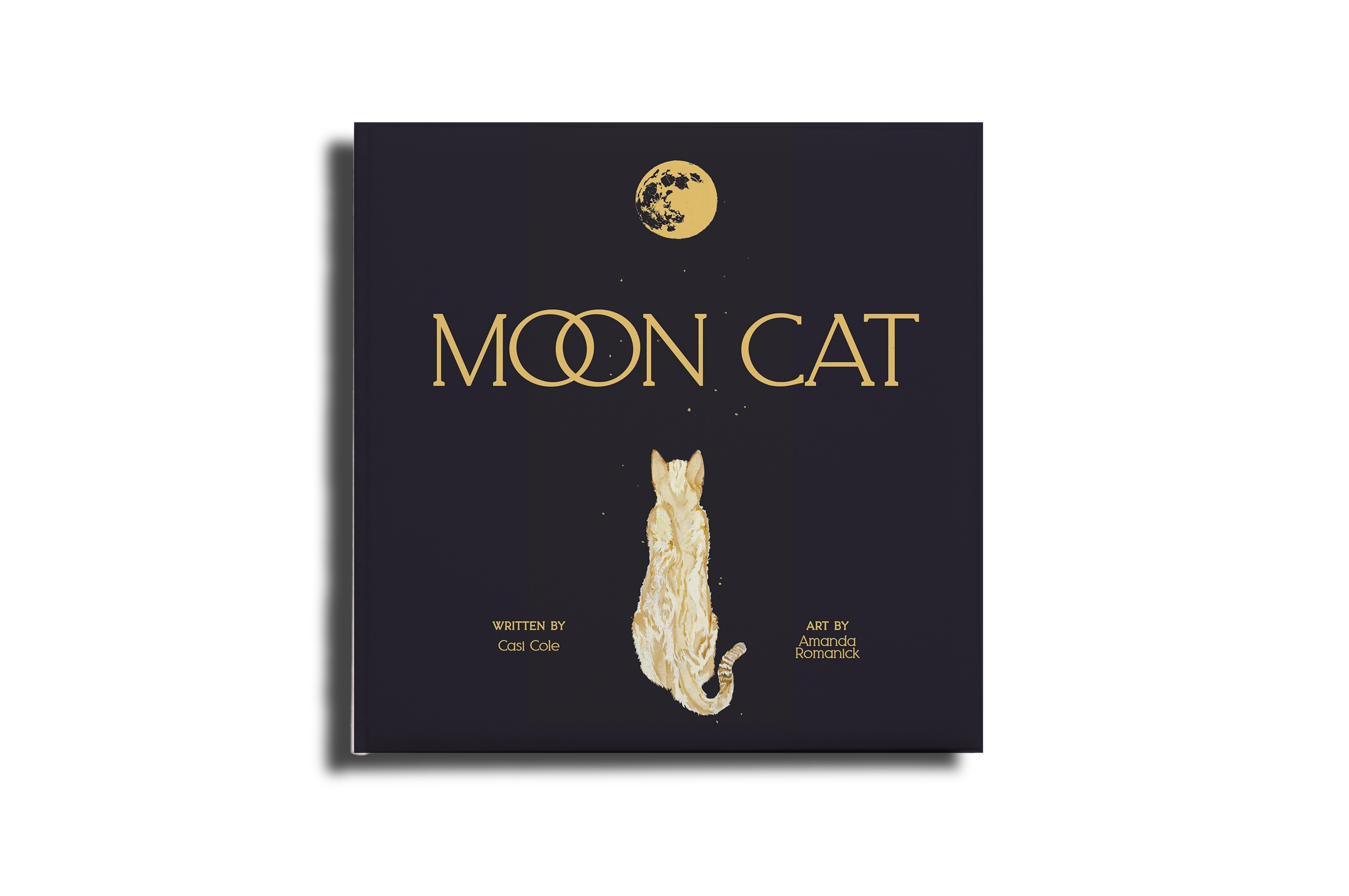 Moon Cat (Hardcover)