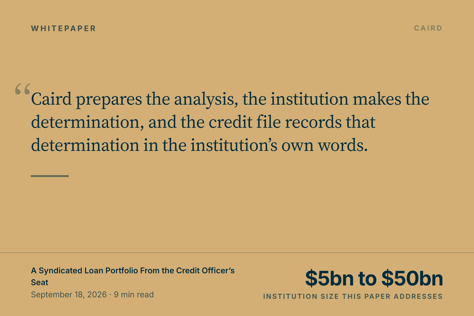 A Syndicated Loan Portfolio From the Credit Officer's Seat