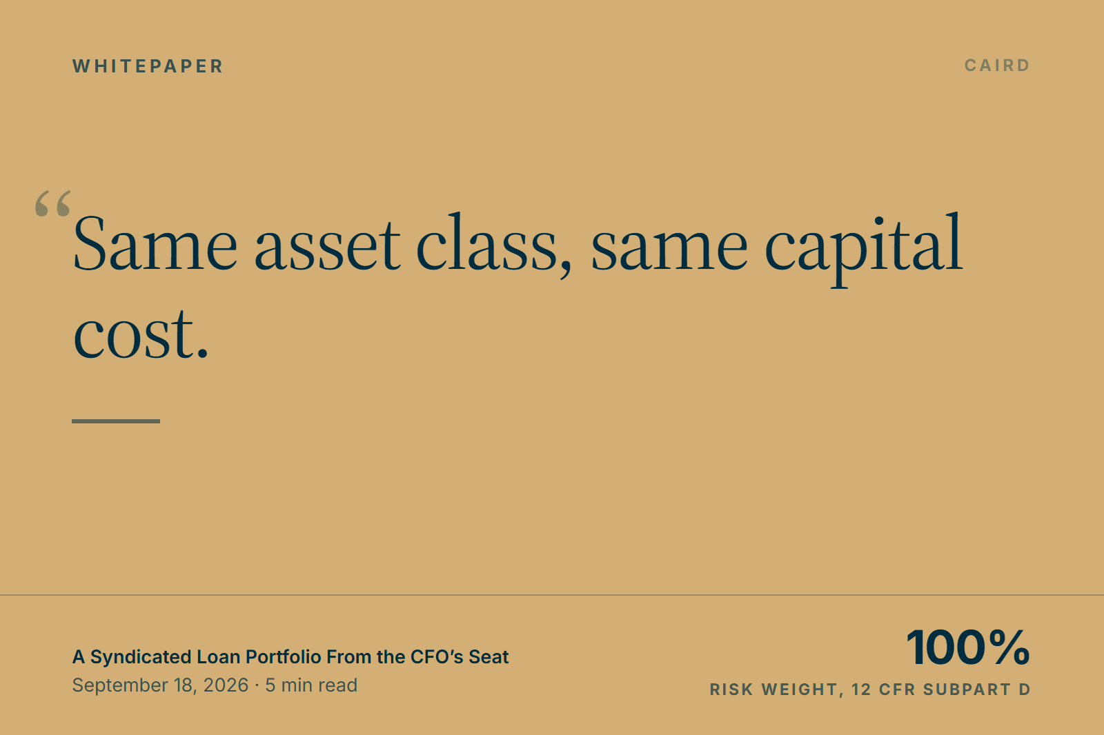 A Syndicated Loan Portfolio From the CFO's Seat