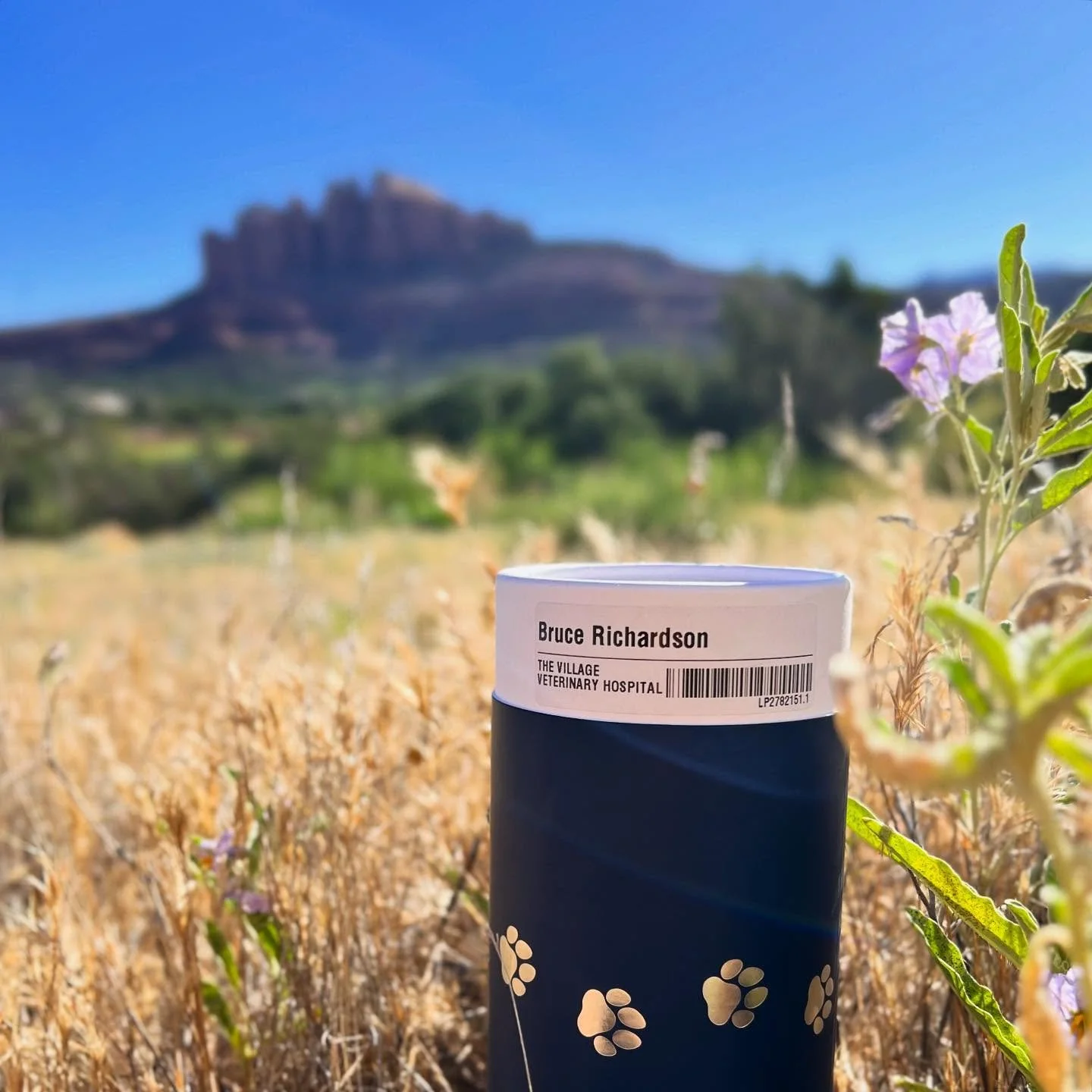 One last road trip for this guy.