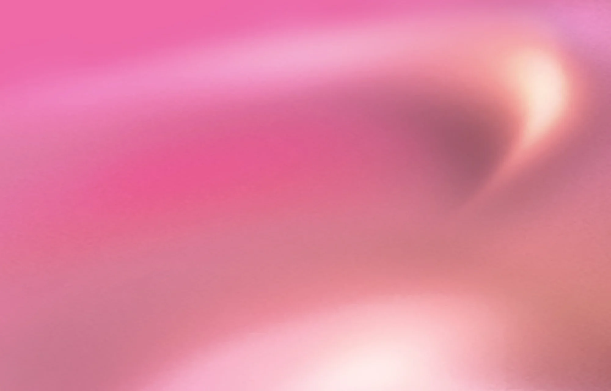Maria Jean - Pink (Detail) 1.jpg