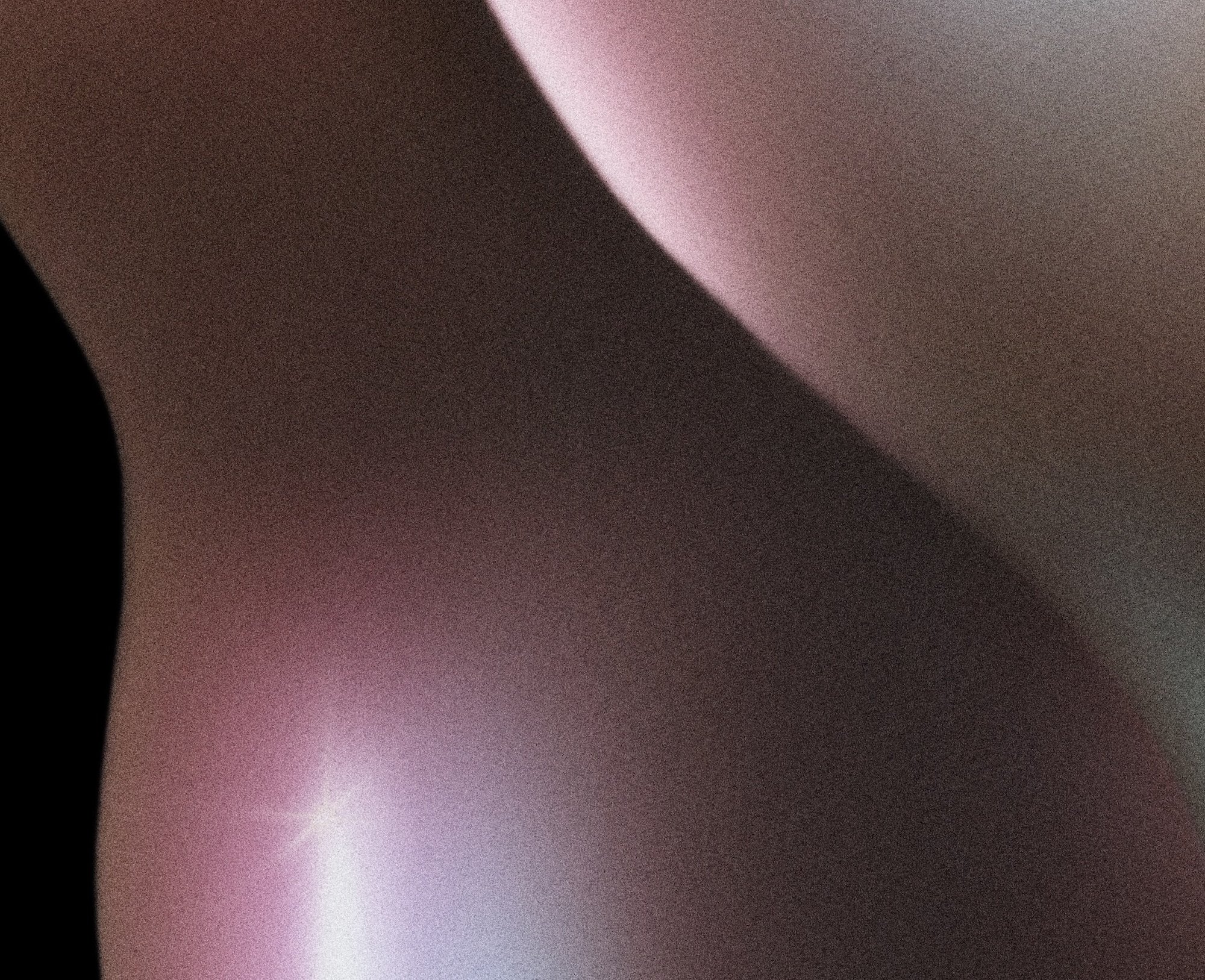Anatomical Portrait I (detail)
