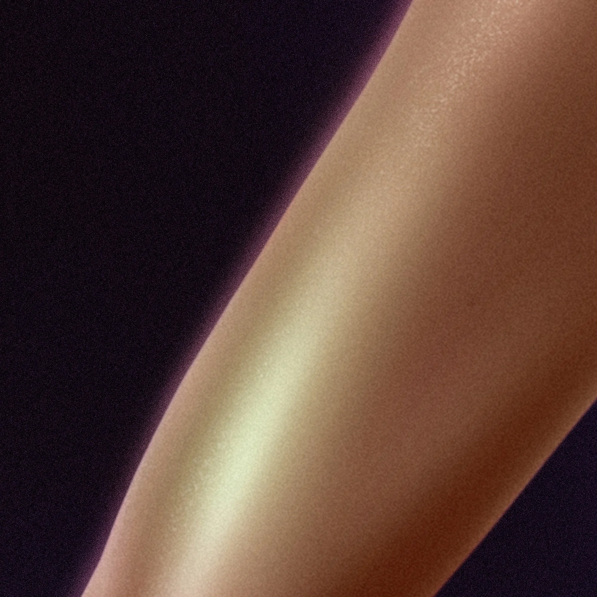 Anatomical Portrait II (detail)
