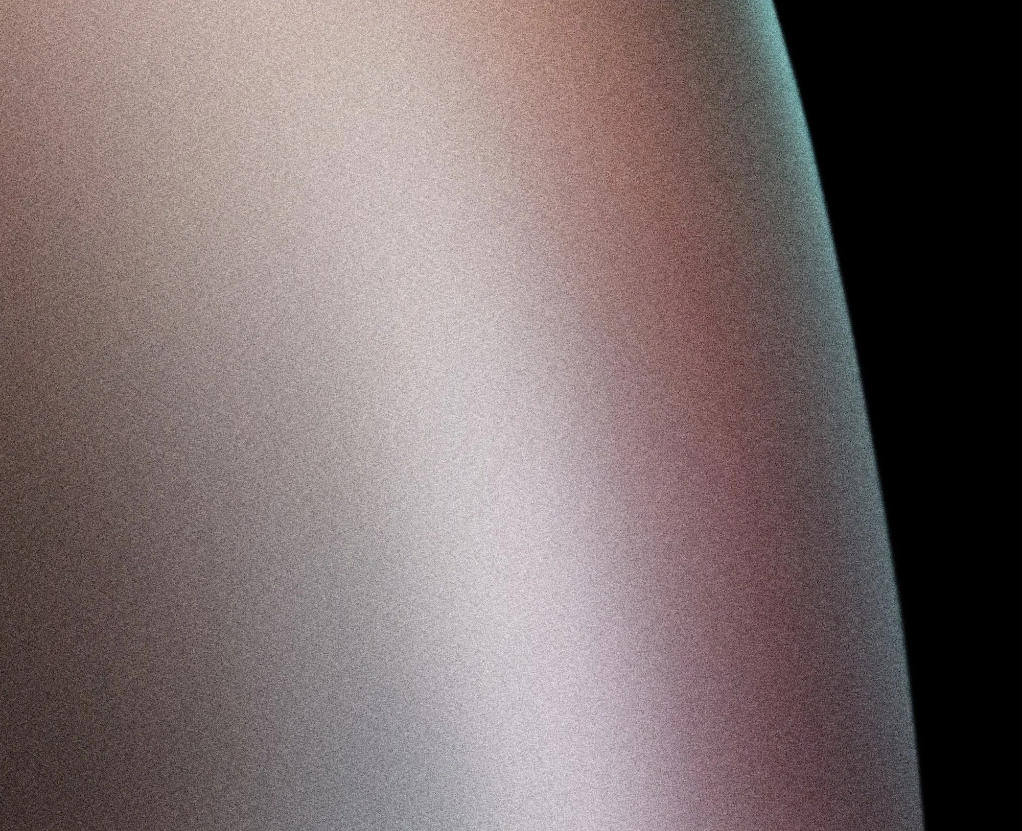 Anatomical Portrait I (detail)