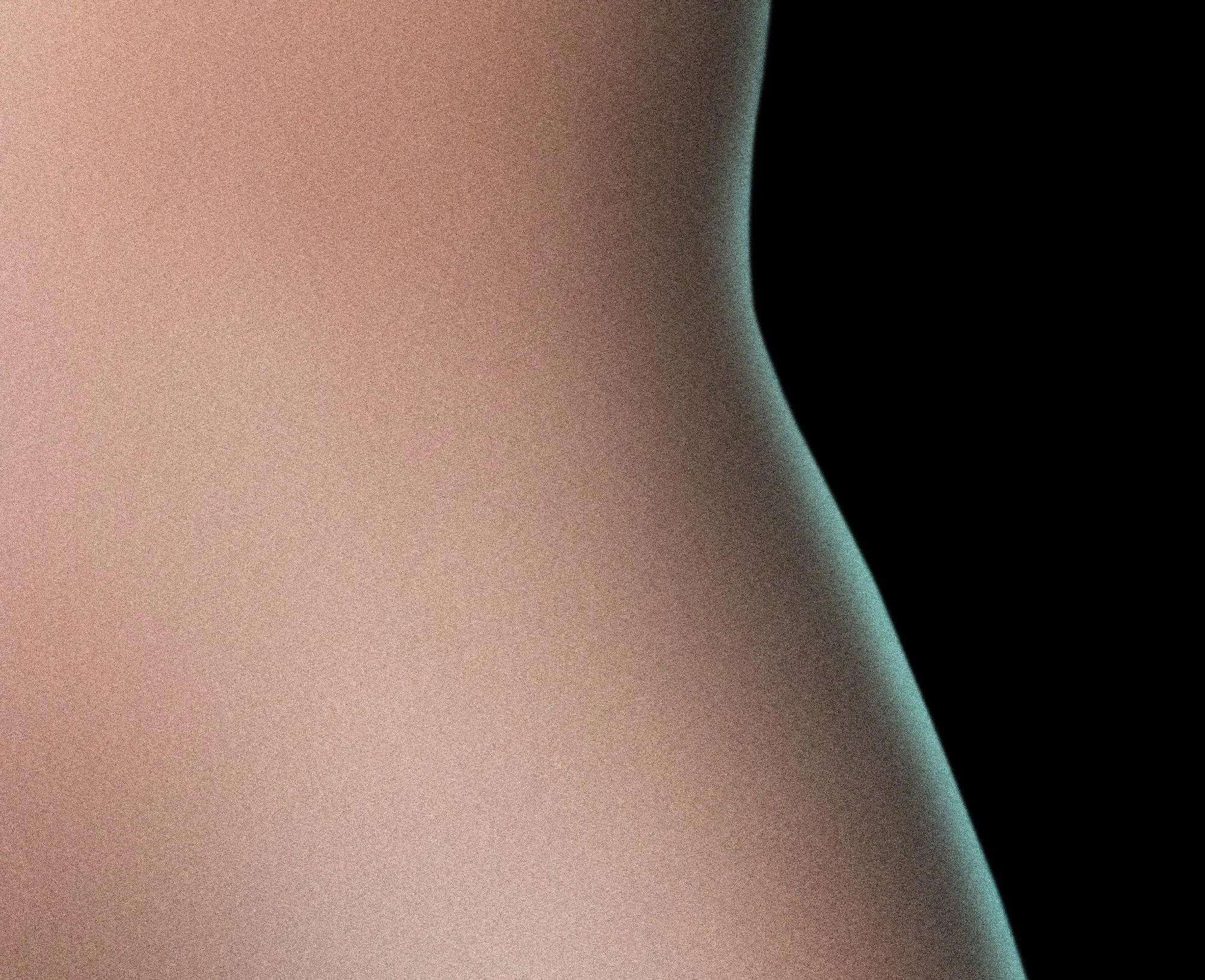 Anatomical Portrait I (detail)