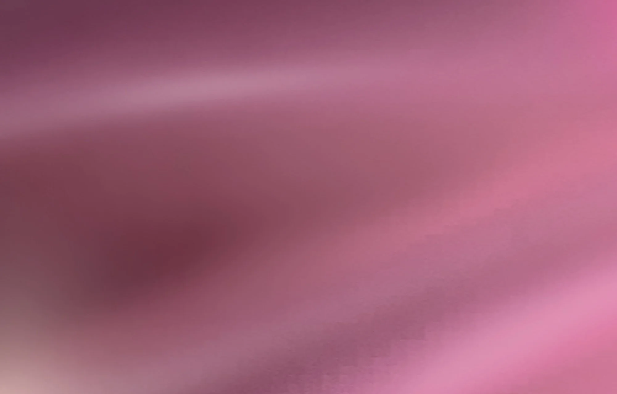 Maria Jean - Pink (Detail) 2.jpg