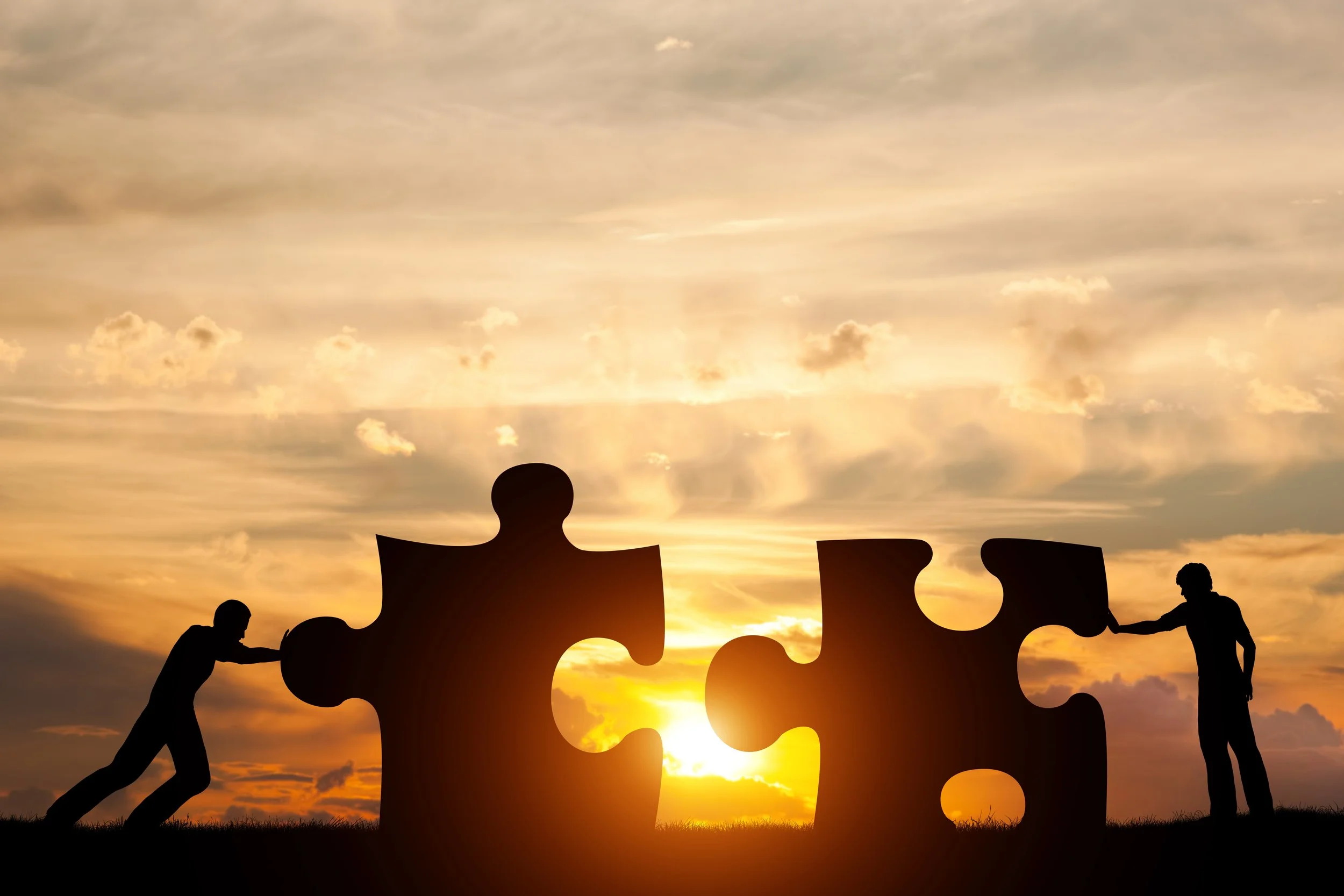 Supplemental Insurance Options