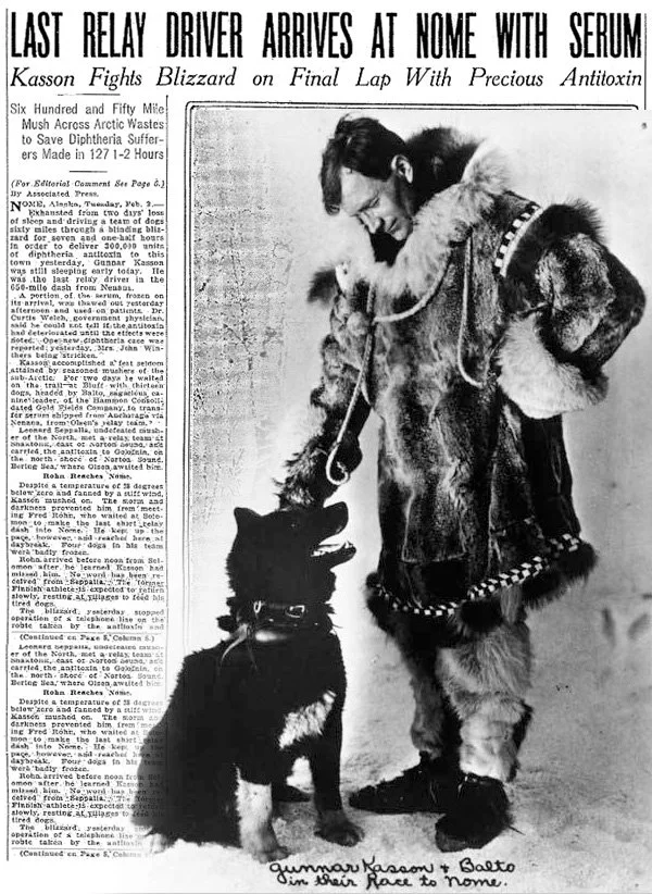 Newspaper clipping praising Balto as last relay driver arriving at Nome