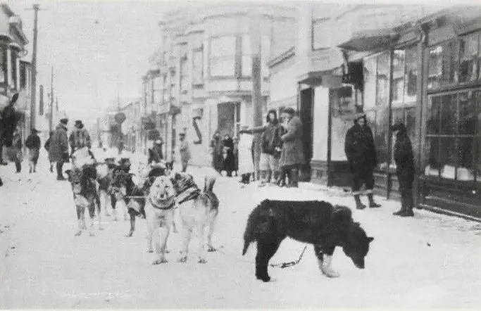 Balto and the sled team return to Nome with the Serum