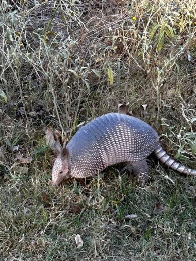 Texas here we come!!!