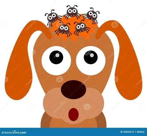 Lets talk about Ticks!
