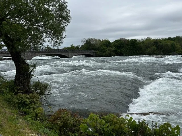 IMG_2952.jpeg