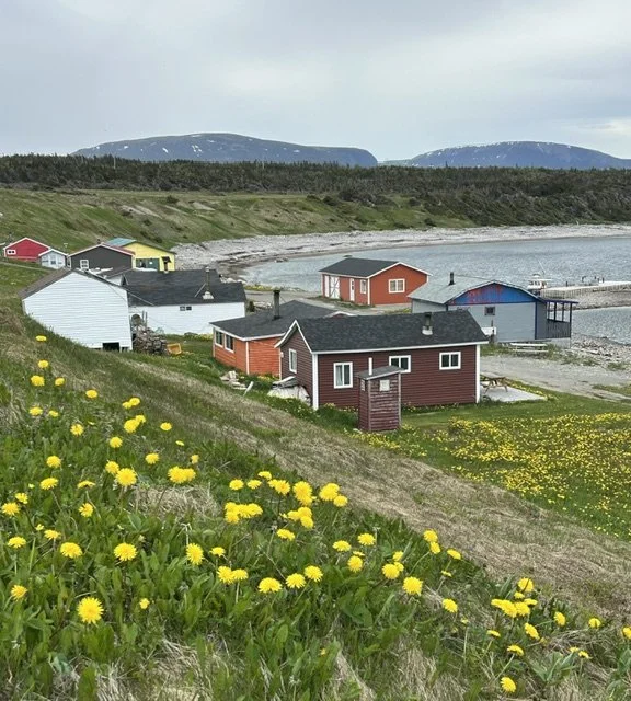 First two weeks in Newfoundland