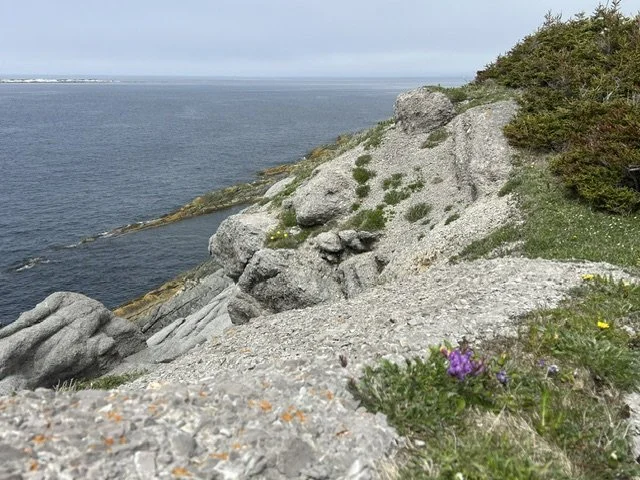IMG_3387.jpeg