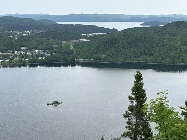 IMG_3659.jpeg