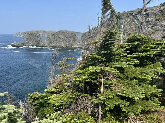 IMG_3829.jpeg