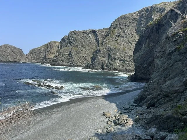 IMG_3831.jpeg