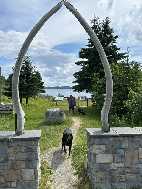 Terra Nova National Park