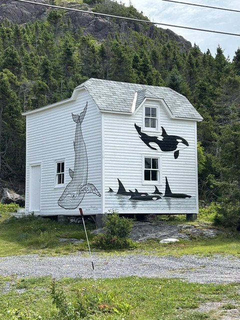 IMG_4184.jpeg