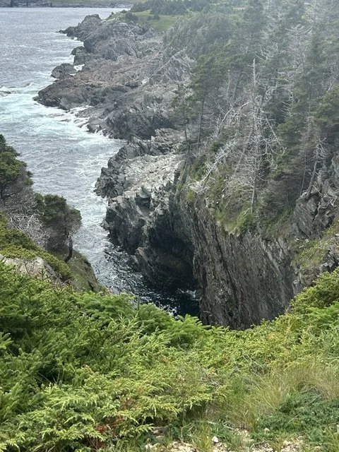 IMG_4377.jpeg