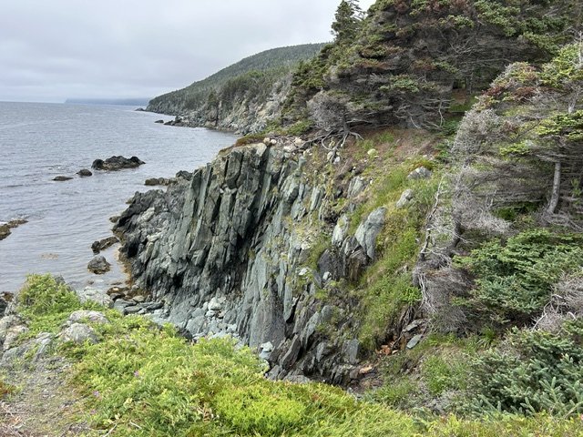 IMG_4437.jpeg