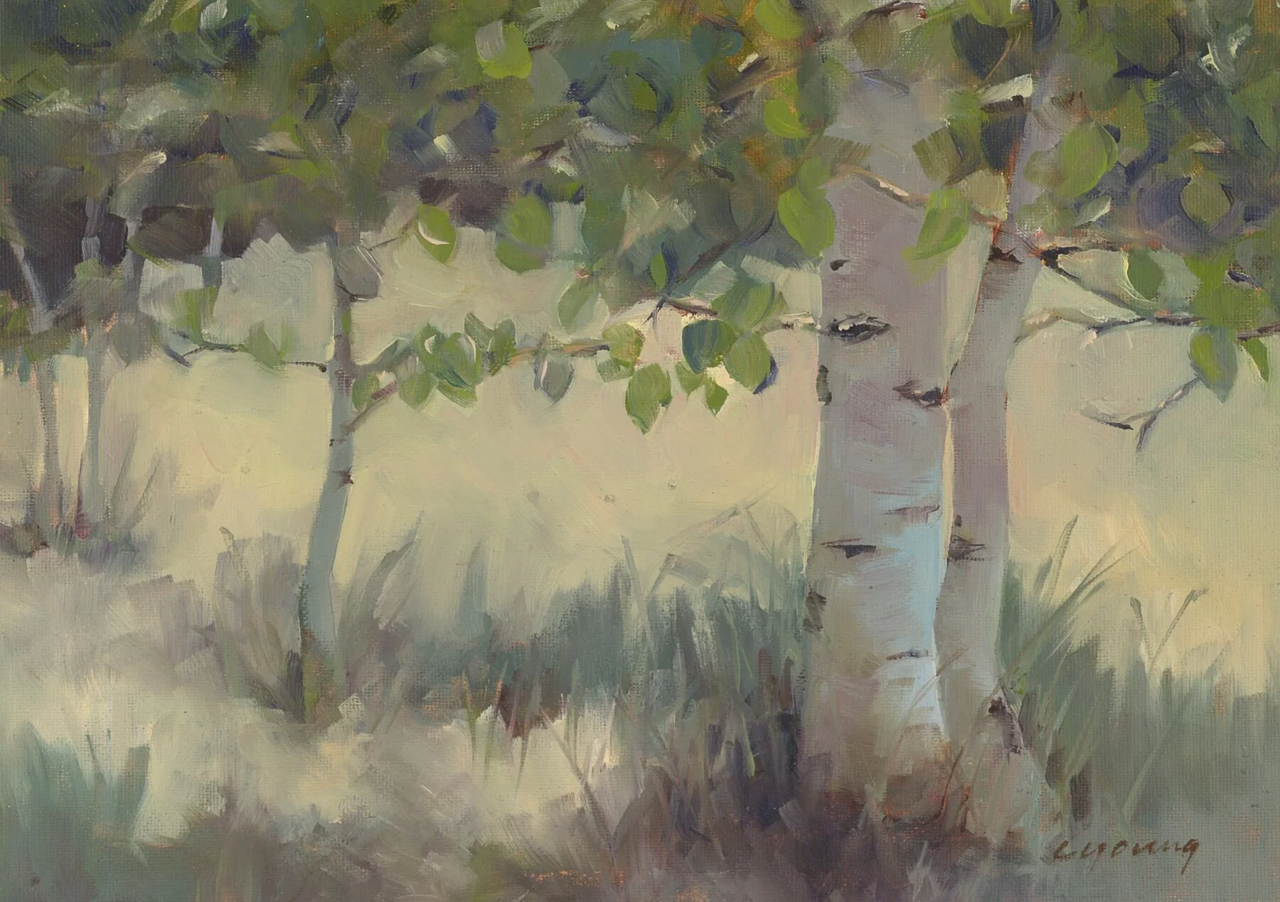 "California Aspens" - 12 x16", (sold) oil on canvas