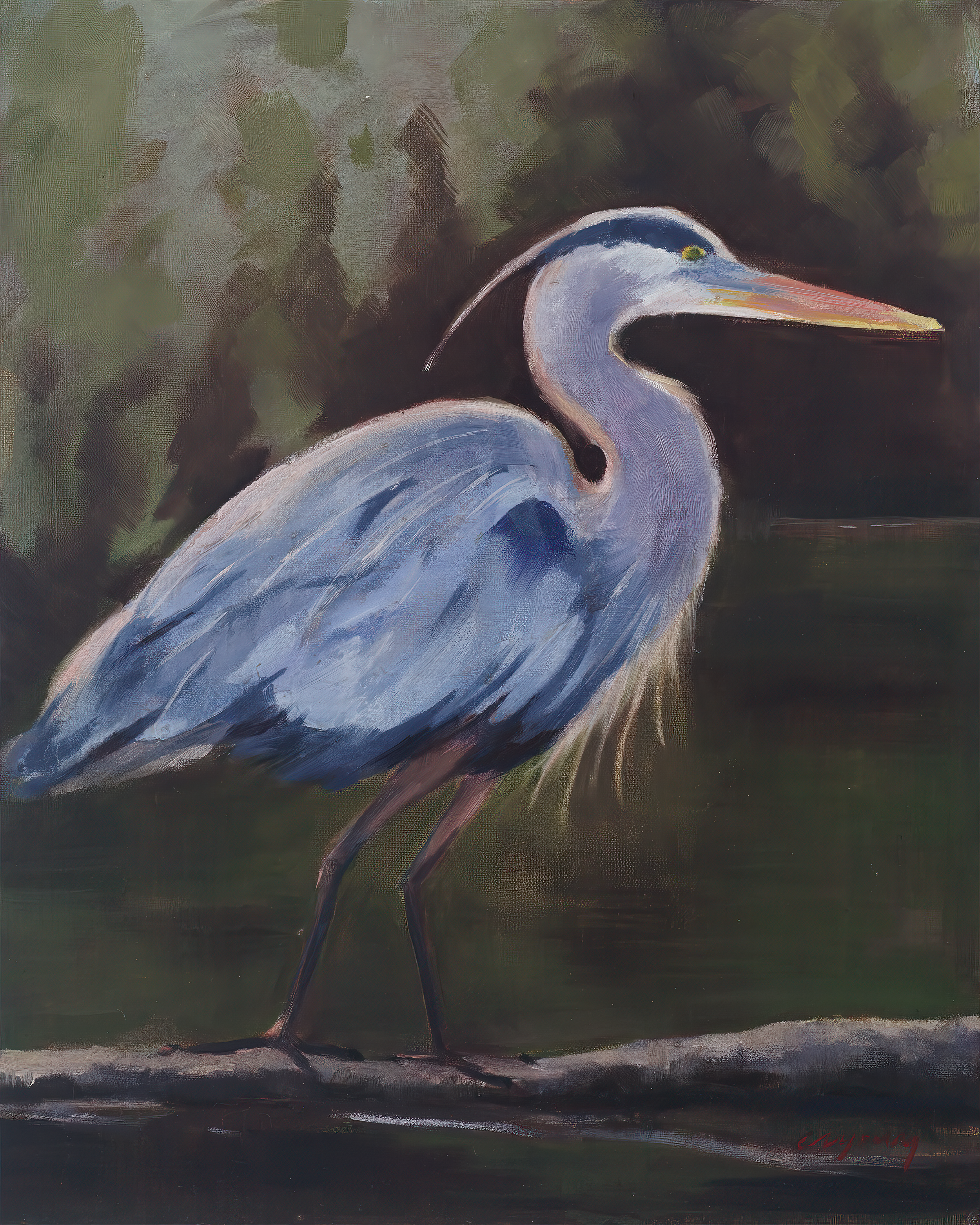 "Heron" 16x20", oil on panel, silver frame, ($1,850)