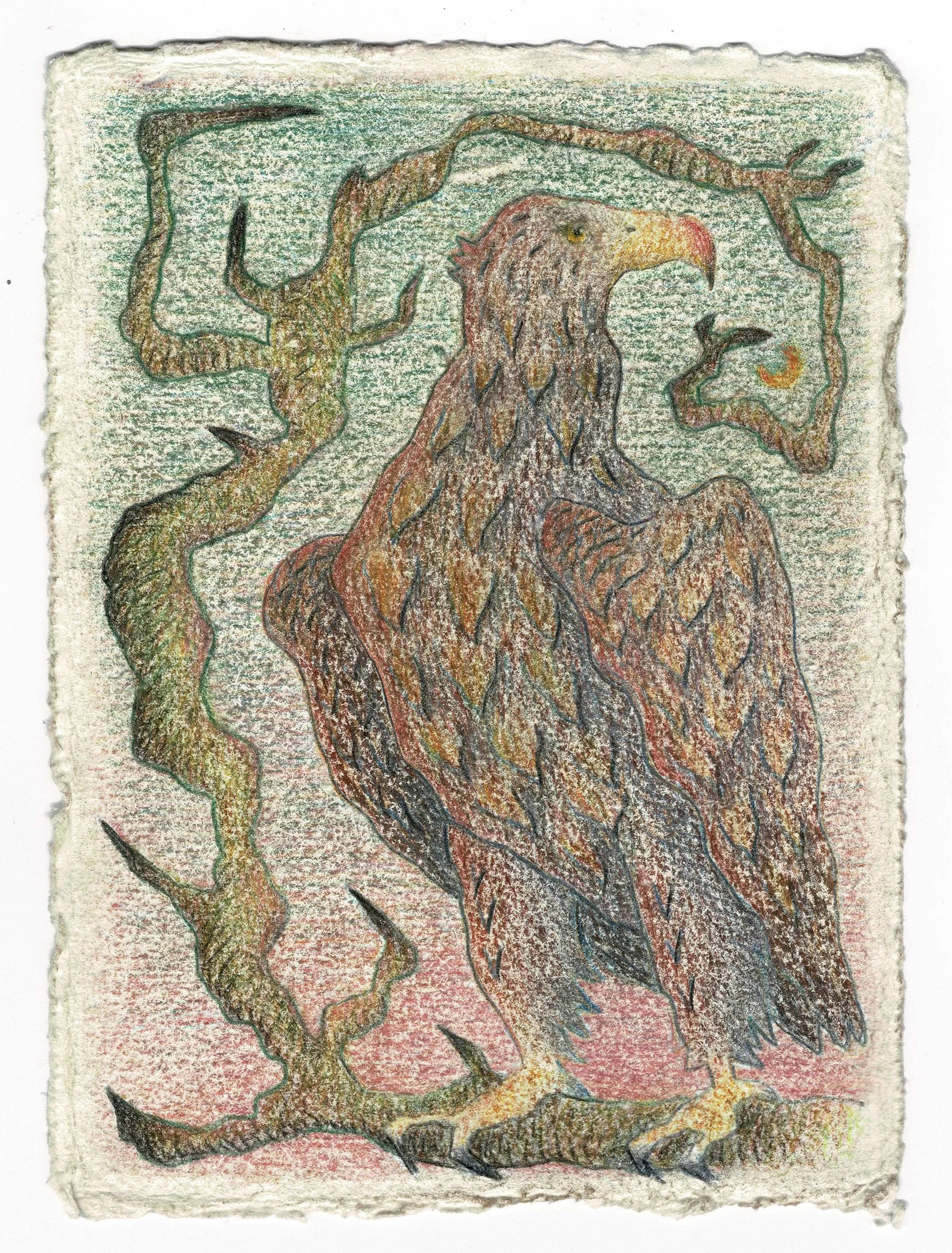 Coloured pencil on paper, 11 x 15 cm