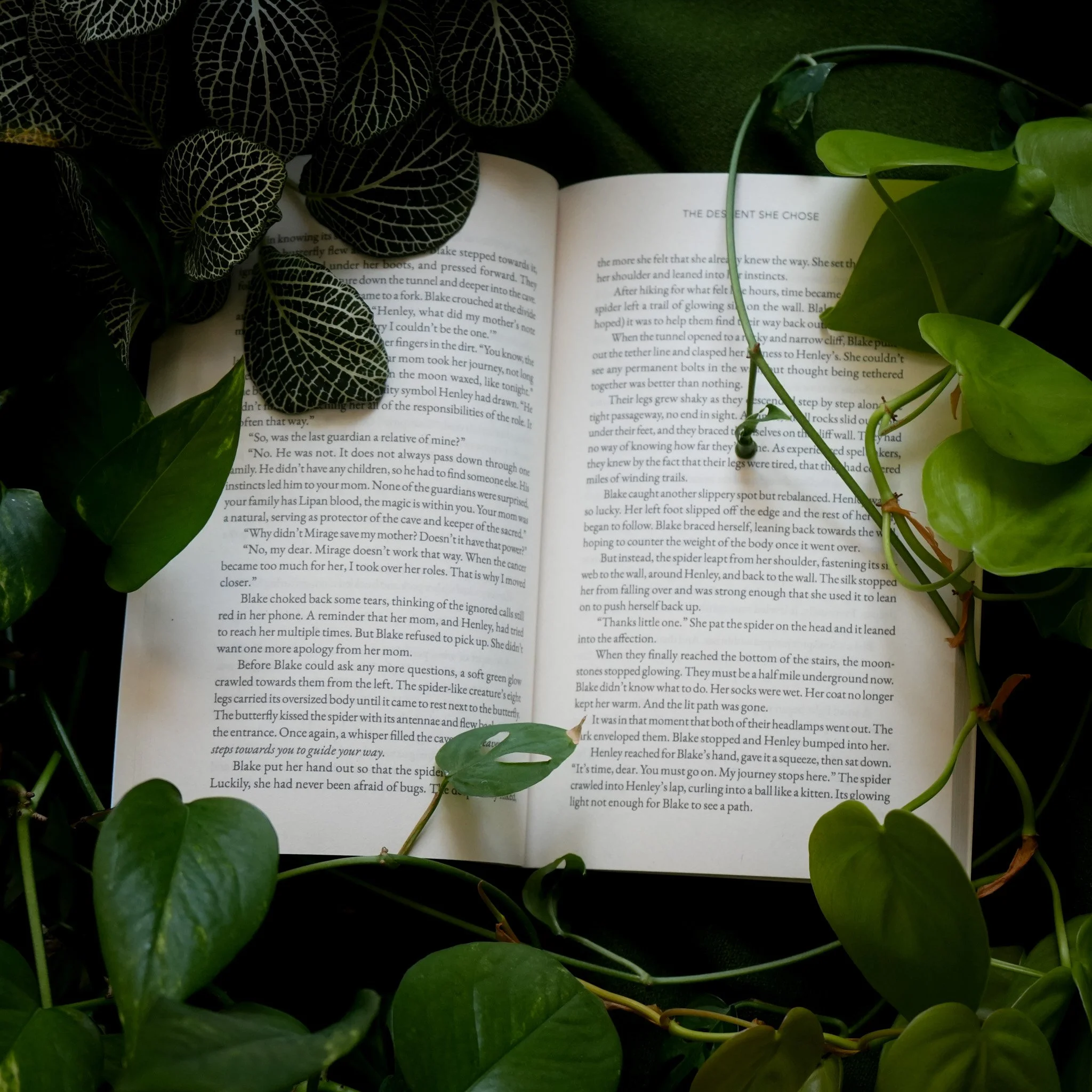 Book Design