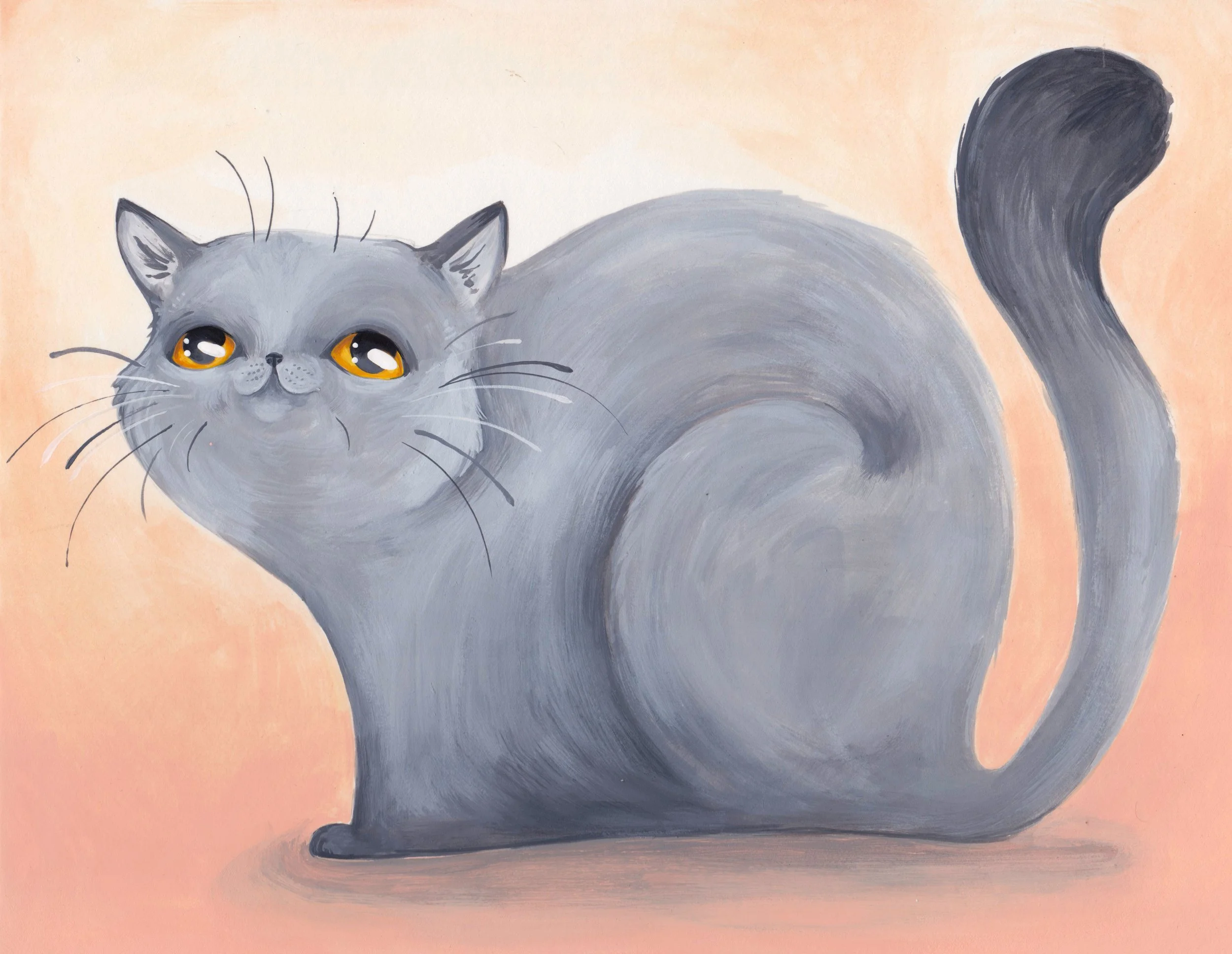 GrayCat.jpg