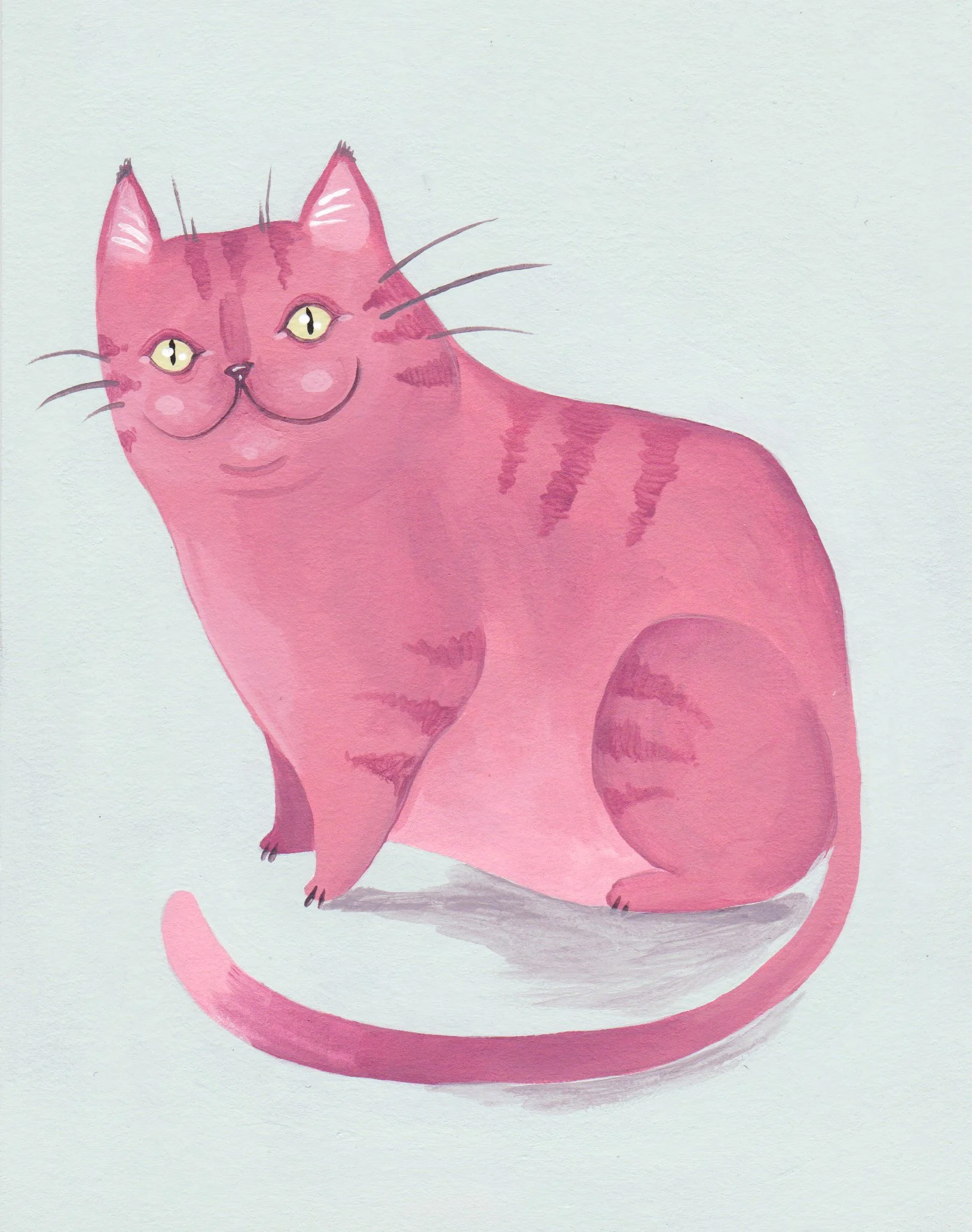 cat illustration.jpg