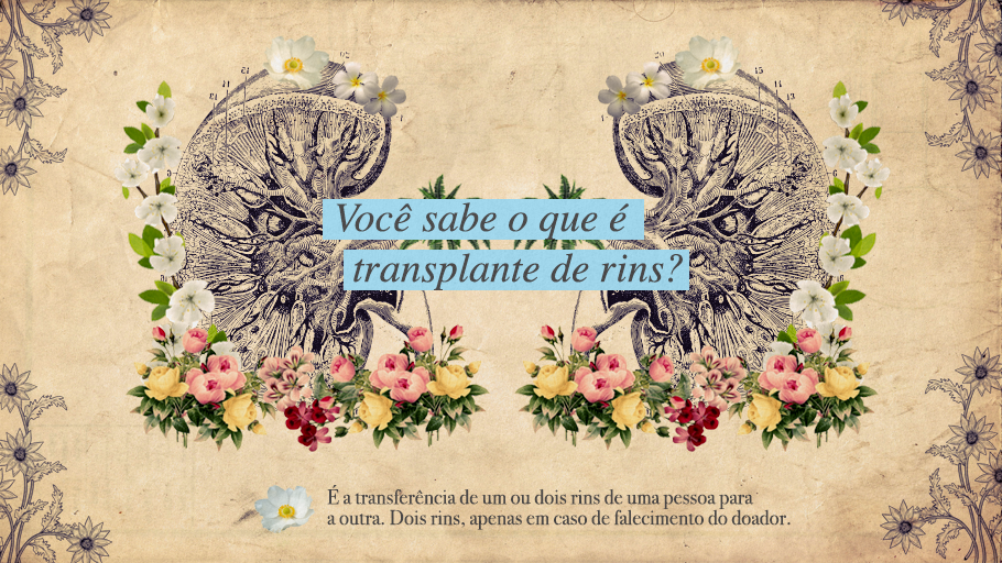 doacao_rim.png