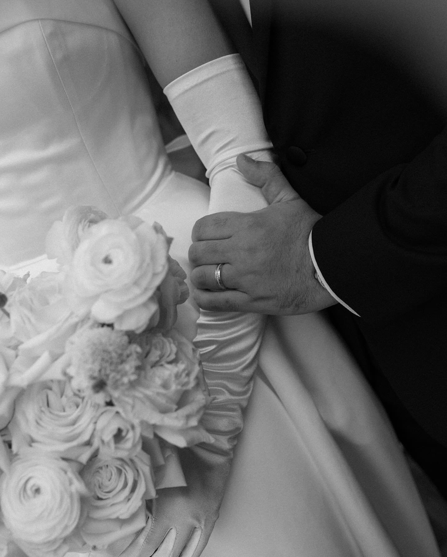 THE ARIANOS 📸🎞️🫶🏽